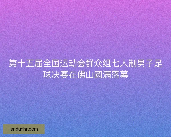 第十五届全国运动会群众组七人制男子足球决赛在佛山圆满落幕